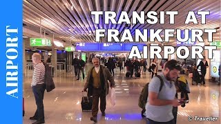 TRANSIT WALK AT FRANKFURT Airport FRA Terminal 1  Connection Flight Transfer Arriving amp Departing [upl. by Medrek]